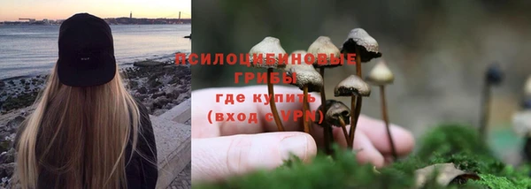 гашишное масло Богданович
