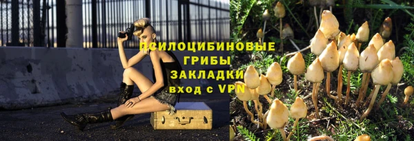 дурь Новодвинск